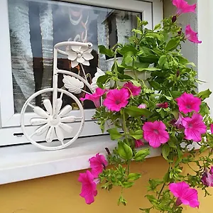  Locanda Del Golfo Italia